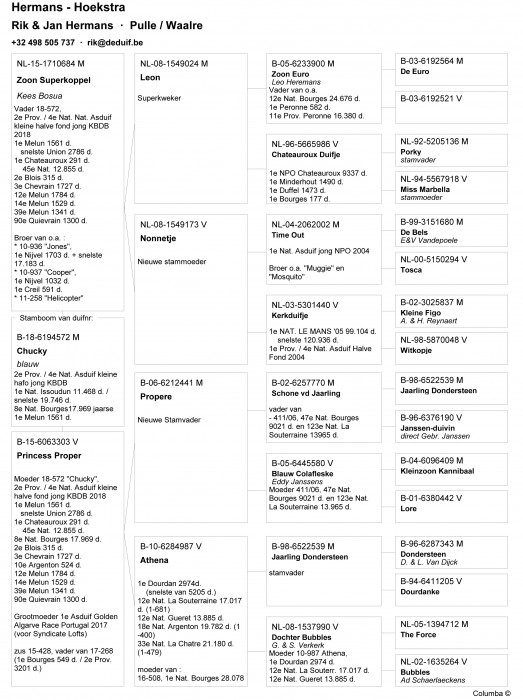 18-6194572-chucky (1).jpg